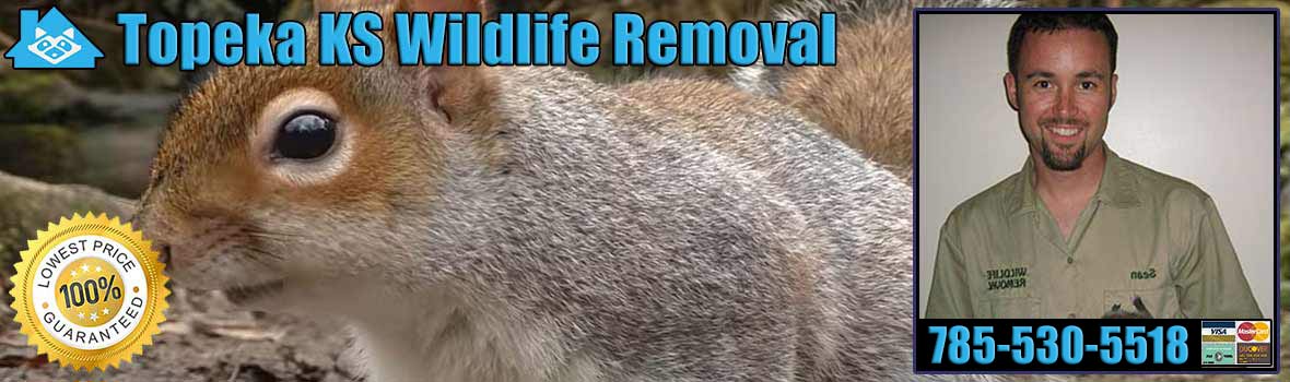 Topeka Wildlife and Animal Removal